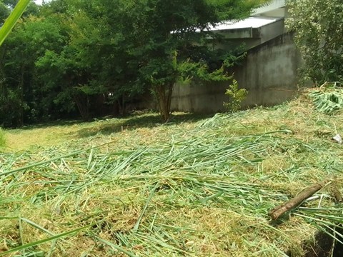 Terreno à Venda
