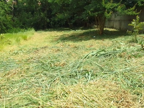 Terreno à Venda